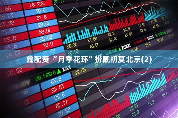 鑫配资 “月季花环”扮靓初夏北京(2)