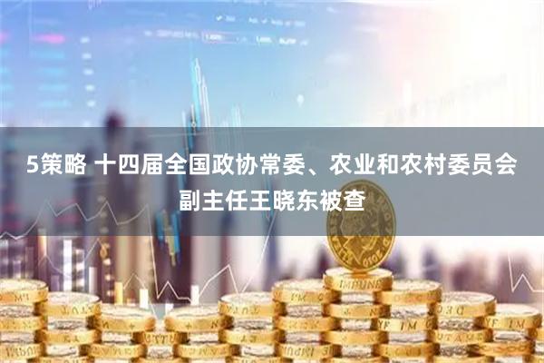 5策略 十四届全国政协常委、农业和农村委员会副主任王晓东被查