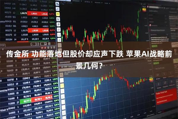 传金所 功能落地但股价却应声下跌 苹果AI战略前景几何？